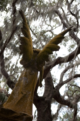 Image 1931 - Professional Cemeteries photography by Bobby Shull