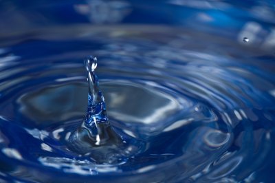 Image 1876 - Professional Macro photography by Bobby Shull