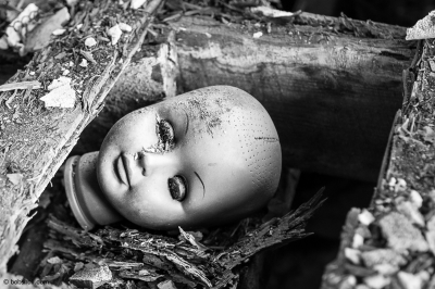 Image 0007 - Professional photography by Bobby Shull