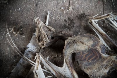 Image 4549 - Professional photography by Bobby Shull