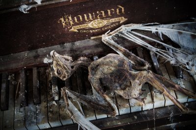 Image 4553 - Professional photography by Bobby Shull