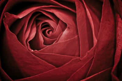 Image 4654 - Professional photography by Bobby Shull