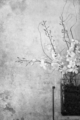 Image 5410 - Professional photography by Bobby Shull