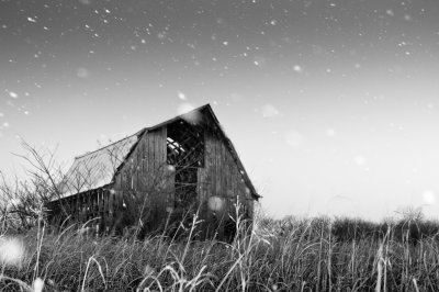 Image 4418 - Professional Scapes photography by Bobby Shull