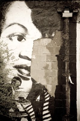 Image 8616 - Professional Scapes photography by Bobby Shull