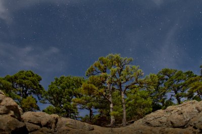 Image 0350 - Professional Starscapes photography by Bobby Shull