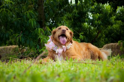 Mg 6205 - Professional Weddings photography by Bobby Shull